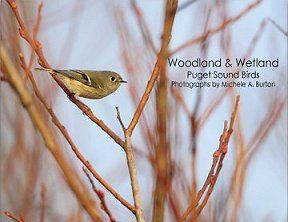Woodland & Wetland: Puget Sound Birds